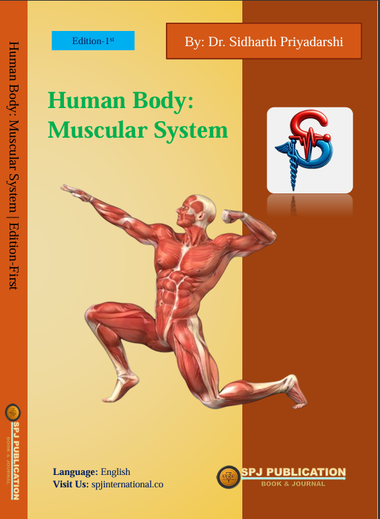Human Body: Muscular System
